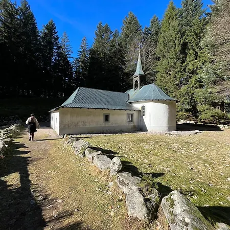 Le Venerable, 4 Etoiles, Vue Imprenable Au Coeur Des Vosges 木屋 旺特龙