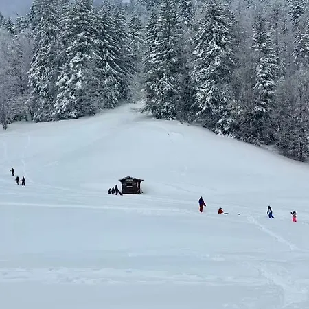 Alpesi faház Le Venerable, 4 Etoiles, Vue Imprenable Au Coeur Des Vosges Ventron